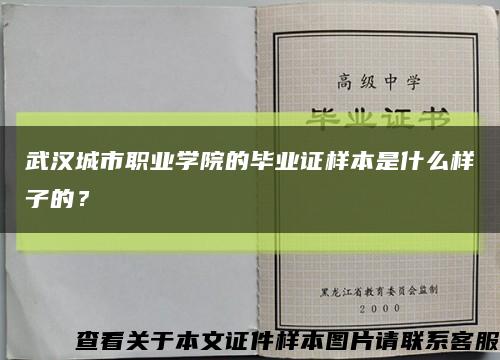 武汉城市职业学院的毕业证样本是什么样子的？缩略图