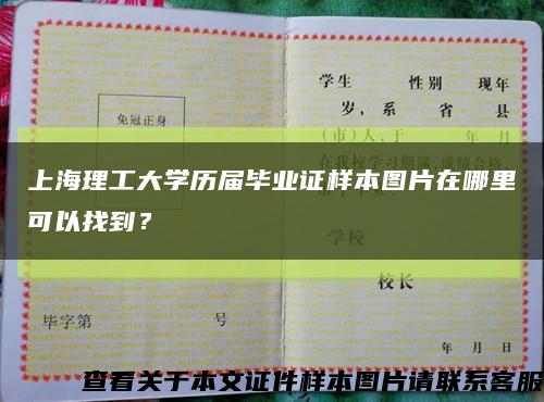 上海理工大学历届毕业证样本图片在哪里可以找到？缩略图