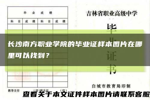 长沙南方职业学院的毕业证样本图片在哪里可以找到？缩略图