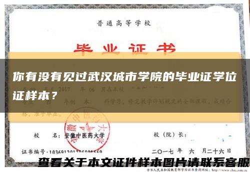 你有没有见过武汉城市学院的毕业证学位证样本？缩略图