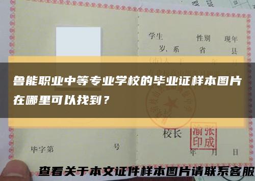 鲁能职业中等专业学校的毕业证样本图片在哪里可以找到？缩略图