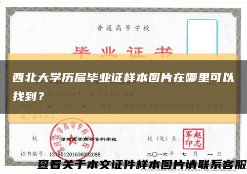 西北大学历届毕业证样本图片在哪里可以找到？缩略图