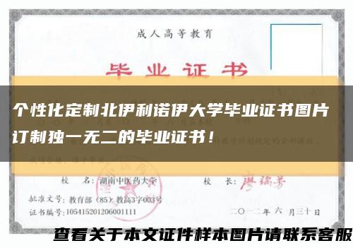 个性化定制北伊利诺伊大学毕业证书图片 订制独一无二的毕业证书！缩略图