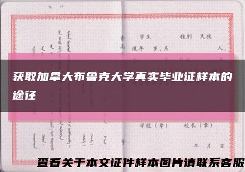 获取加拿大布鲁克大学真实毕业证样本的途径缩略图