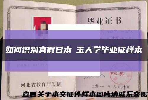 如何识别真假日本埼玉大学毕业证样本缩略图