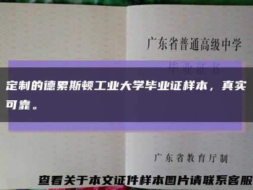 定制的德累斯顿工业大学毕业证样本，真实可靠。缩略图