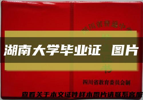 湖南大学毕业证 图片缩略图