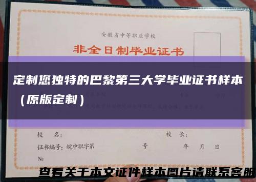 定制您独特的巴黎第三大学毕业证书样本（原版定制）缩略图