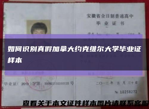 如何识别真假加拿大约克维尔大学毕业证样本缩略图