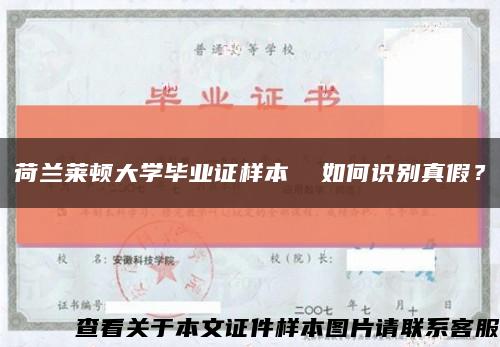 荷兰莱顿大学毕业证样本  如何识别真假？缩略图