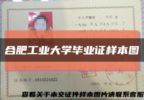 合肥工业大学毕业证样本图缩略图