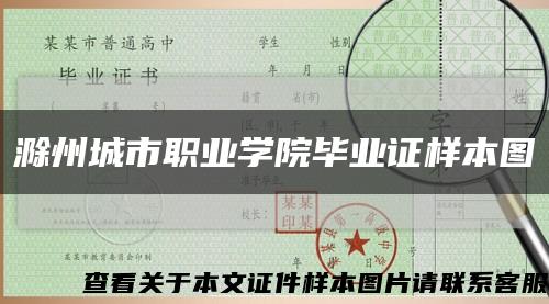 滁州城市职业学院毕业证样本图缩略图