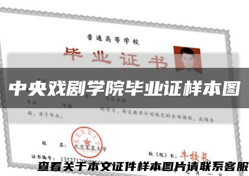 中央戏剧学院毕业证样本图缩略图