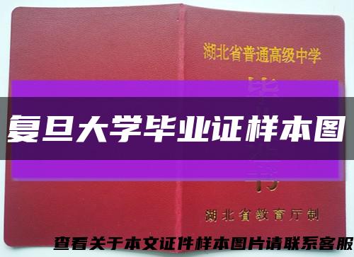 复旦大学毕业证样本图缩略图