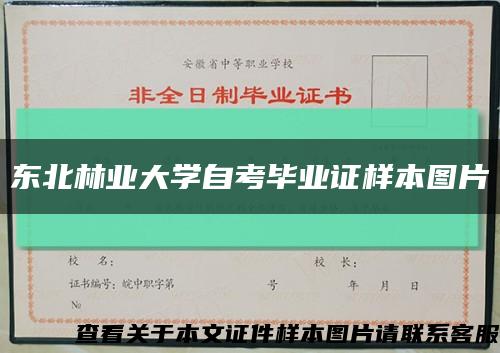 东北林业大学自考毕业证样本图片缩略图