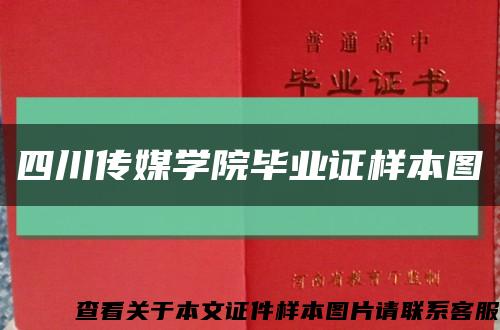 四川传媒学院毕业证样本图缩略图