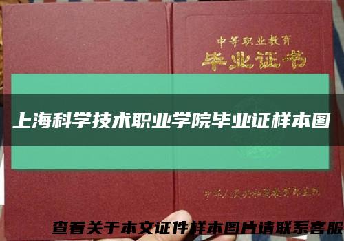 上海科学技术职业学院毕业证样本图缩略图