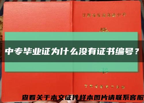 中专毕业证为什么没有证书编号？缩略图