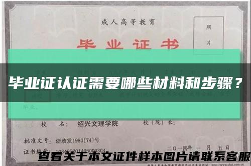 毕业证认证需要哪些材料和步骤？缩略图