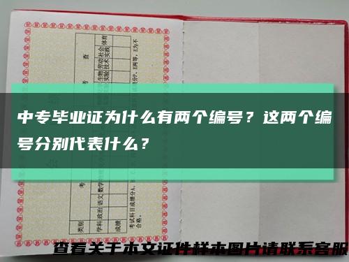 中专毕业证为什么有两个编号？这两个编号分别代表什么？缩略图