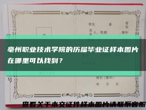 亳州职业技术学院的历届毕业证样本图片在哪里可以找到？缩略图