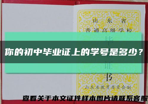 你的初中毕业证上的学号是多少？缩略图