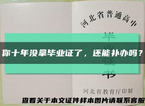 你十年没拿毕业证了，还能补办吗？缩略图