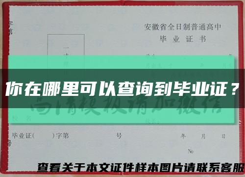 你在哪里可以查询到毕业证？缩略图