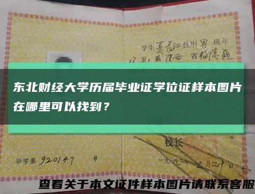 东北财经大学历届毕业证学位证样本图片在哪里可以找到？缩略图