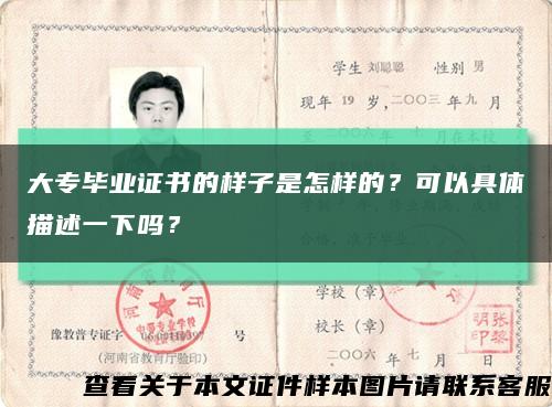 大专毕业证书的样子是怎样的？可以具体描述一下吗？缩略图