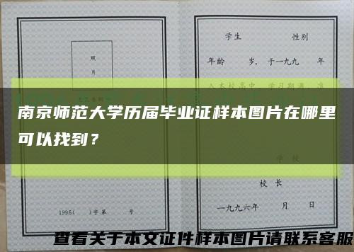 南京师范大学历届毕业证样本图片在哪里可以找到？缩略图