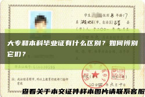 大专和本科毕业证有什么区别？如何辨别它们？缩略图