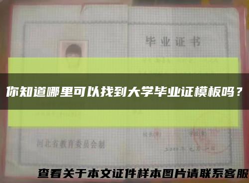 你知道哪里可以找到大学毕业证模板吗？缩略图