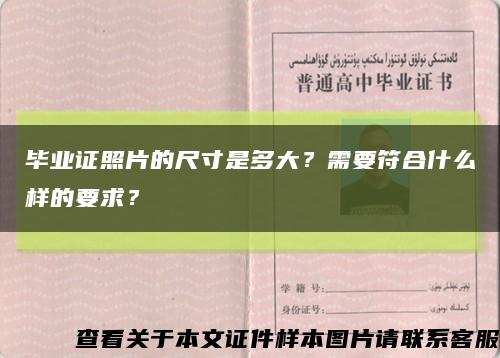 毕业证照片的尺寸是多大？需要符合什么样的要求？缩略图