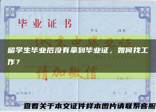 留学生毕业后没有拿到毕业证，如何找工作？缩略图