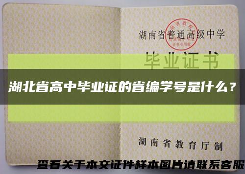 湖北省高中毕业证的省编学号是什么？缩略图