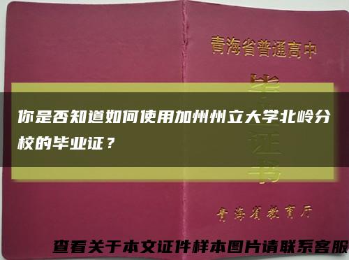 你是否知道如何使用加州州立大学北岭分校的毕业证？缩略图