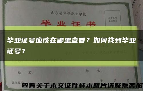 毕业证号应该在哪里查看？如何找到毕业证号？缩略图