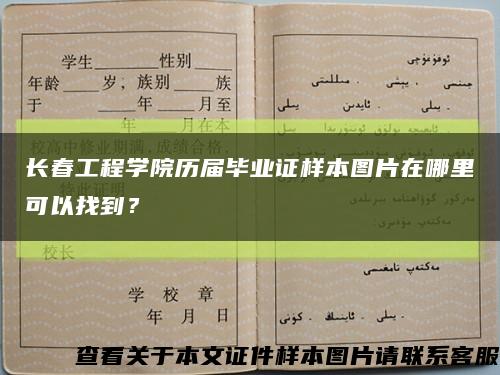 长春工程学院历届毕业证样本图片在哪里可以找到？缩略图