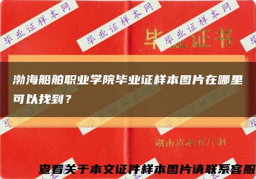 渤海船舶职业学院毕业证样本图片在哪里可以找到？缩略图