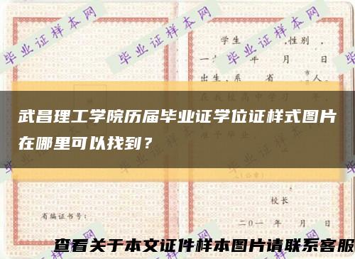 武昌理工学院历届毕业证学位证样式图片在哪里可以找到？缩略图