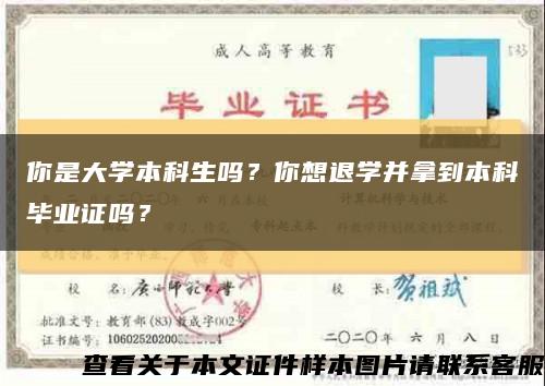 你是大学本科生吗？你想退学并拿到本科毕业证吗？缩略图