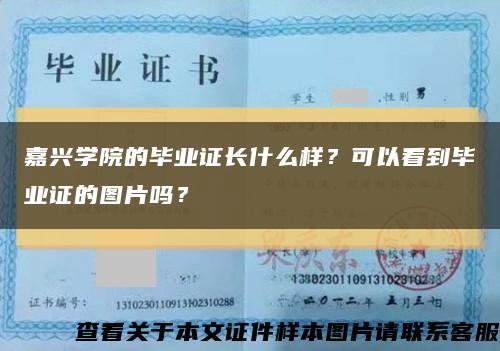 嘉兴学院的毕业证长什么样？可以看到毕业证的图片吗？缩略图