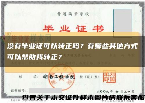 没有毕业证可以转正吗？有哪些其他方式可以帮助我转正？缩略图