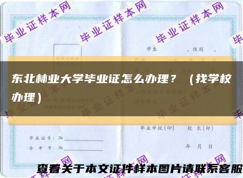 东北林业大学毕业证怎么办理？（找学校办理）缩略图