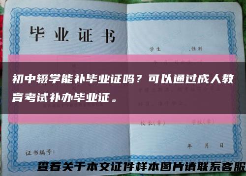 初中辍学能补毕业证吗？可以通过成人教育考试补办毕业证。缩略图