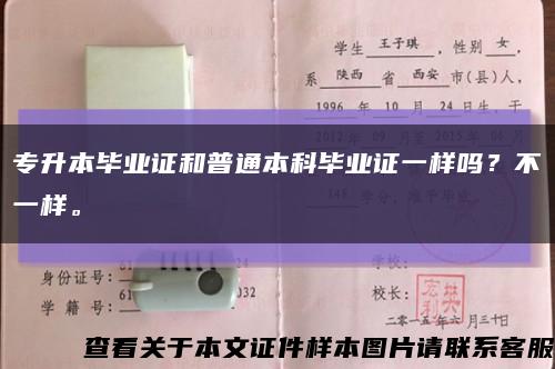 专升本毕业证和普通本科毕业证一样吗？不一样。缩略图