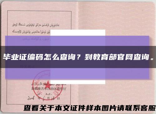 毕业证编码怎么查询？到教育部官网查询。缩略图