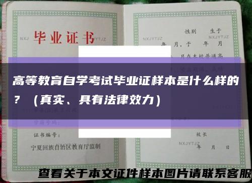 高等教育自学考试毕业证样本是什么样的？（真实、具有法律效力）缩略图