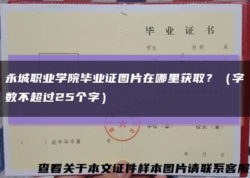 永城职业学院毕业证图片在哪里获取？（字数不超过25个字）缩略图